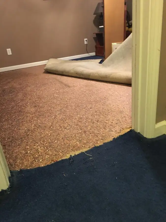 Carpet pad removal revealing water damage during Drying & Dehumidification in Martinsburg