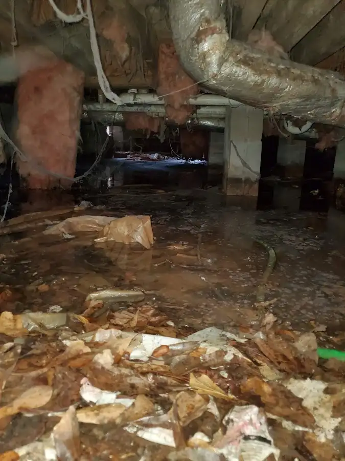 Crawl space flood assessment for Leak Detection & Repair in Martinsburg